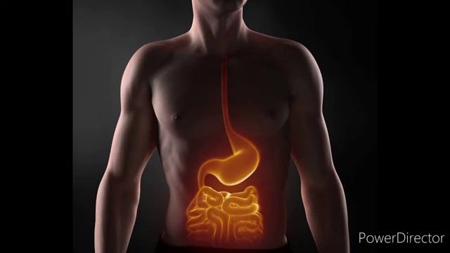 TURMERIC : The golden spice of India ,Health benefits& how to use it to boost Immunity power смотреть онлайн