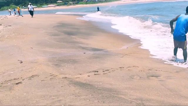 Kettungal beach || Fish hunting || Kerala tourist place || смотреть онлайн