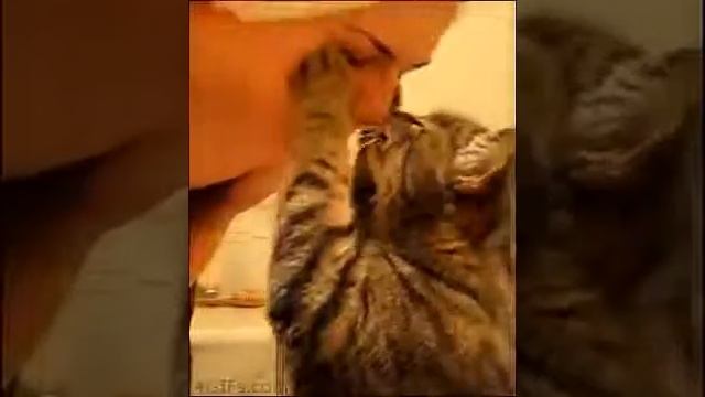 Вот что значит настоящая любовь смотреть онлайн