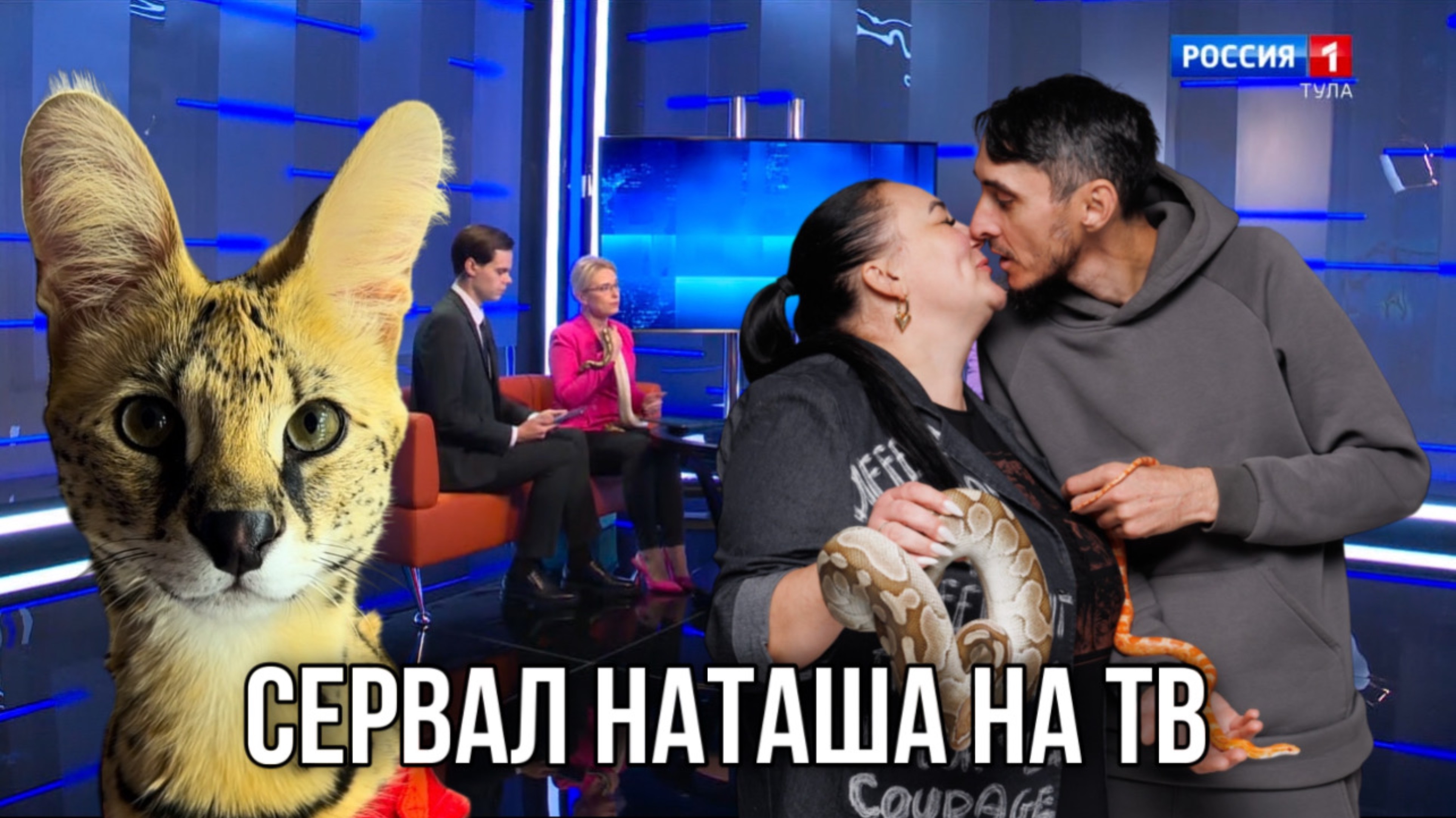 Сервал Наташа | Туся | на ТВ | ГТРК | Тула | Змеи | Саванна | День домашних животных | Питон Полоз смотреть онлайн