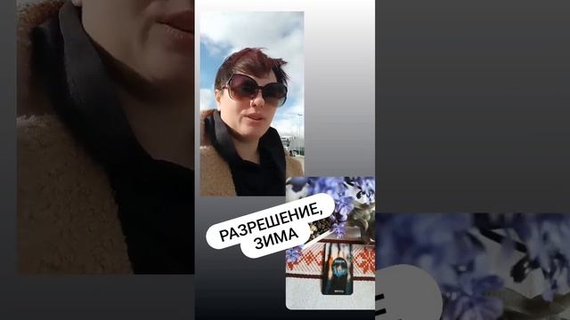 Разрешение,зима #напороге #школатаро #рожденская #гаданиеонлайнтаро #быстрыераскрады смотреть онлайн