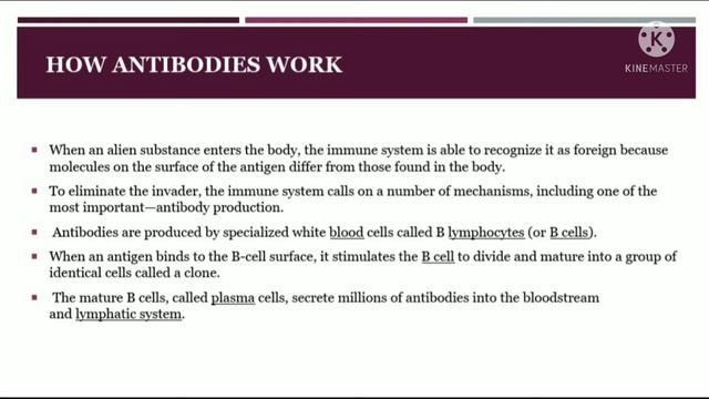 IMMMUNOLOGY -ANTIGEN ANTIBODY INTERACTION смотреть онлайн