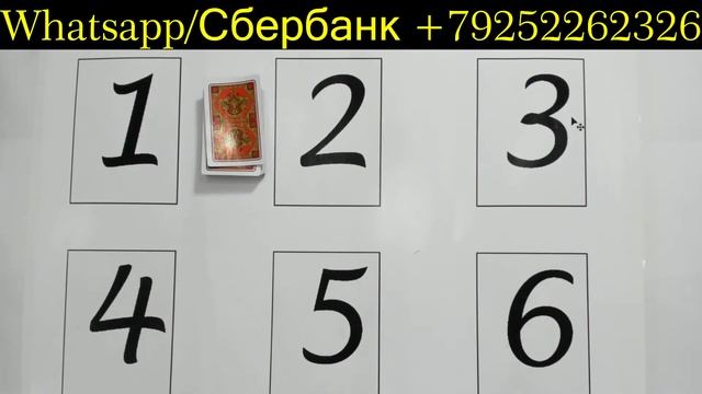 Покер Сека свара смотреть онлайн