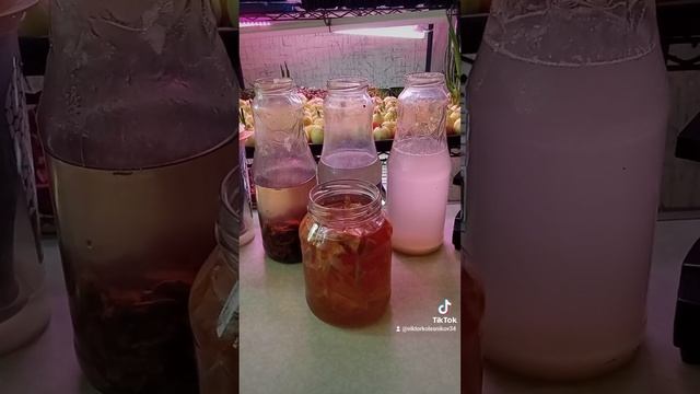 целебная#вода#дома смотреть онлайн