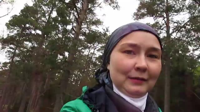 Поездка на тракторе по лесу ч.2 смотреть онлайн