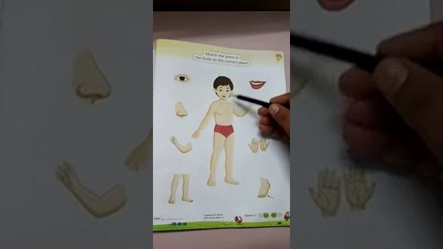 Class Nursery | Subject EVS | Day 65 | INDIGO KIDS PLAY SCHOOL, PALI смотреть онлайн