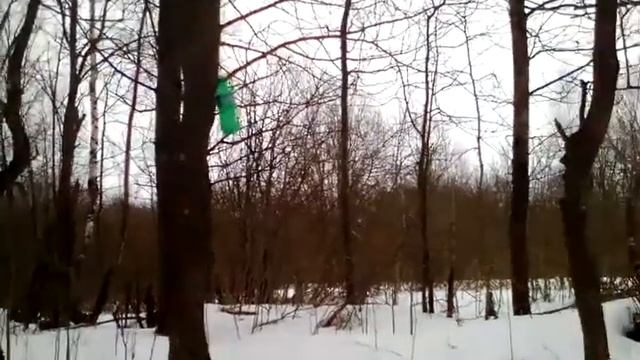 Вызов Духов правда или лож (2 часть Хранитель леса смотреть онлайн