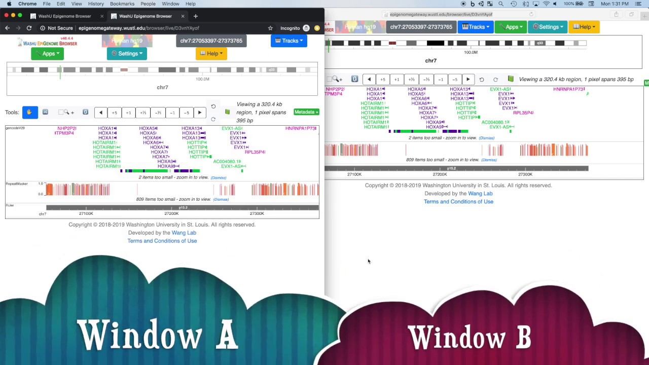 Genome Browsing like editing Google Docs~! смотреть онлайн
