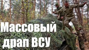 Массовый драп ВСУ. Под обреченный Покровск перебросили американскую «золотую дивизию»