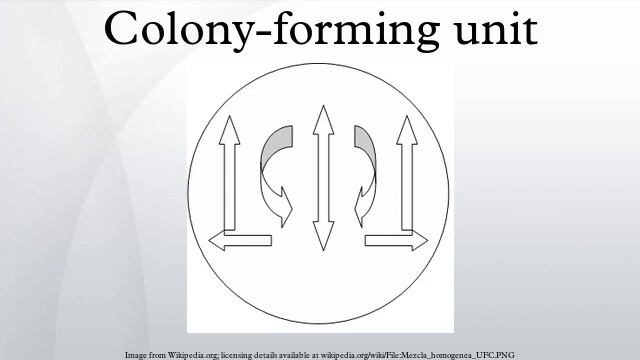 Colony-forming unit смотреть онлайн