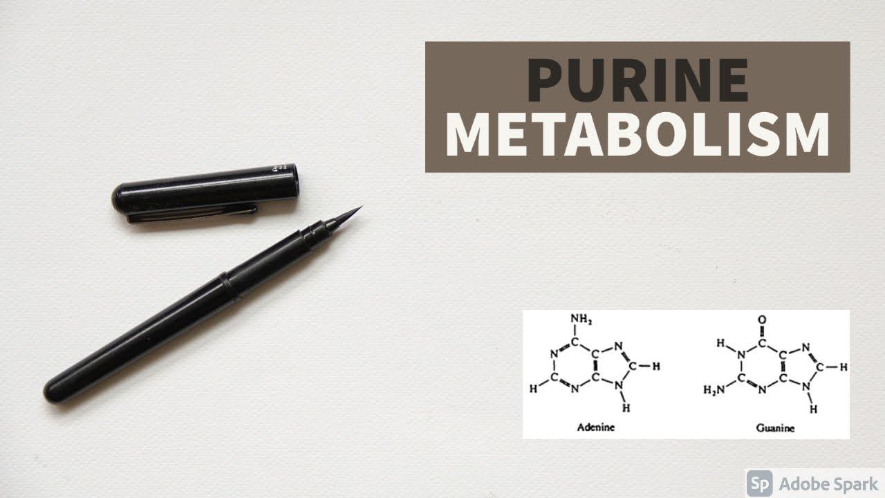 How PURINE METABOLISM occurs ? | PART-1 | BIOCHEMISTRY | MOLECULAR BIOLOGY | ANYTIME MEDICINE смотреть онлайн