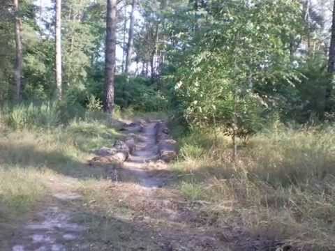 Беречь леса от пожаров смотреть онлайн