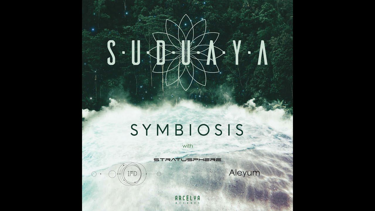 Stratusphere & Suduaya - Earthlings (Original Mix) смотреть онлайн