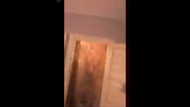 ПАЛНАМЕТРАЖНЫЙ ФИЛЬМ ТИН ФАНТРС 2 МЕДИК ЗАБАЛЕЛ смотреть онлайн
