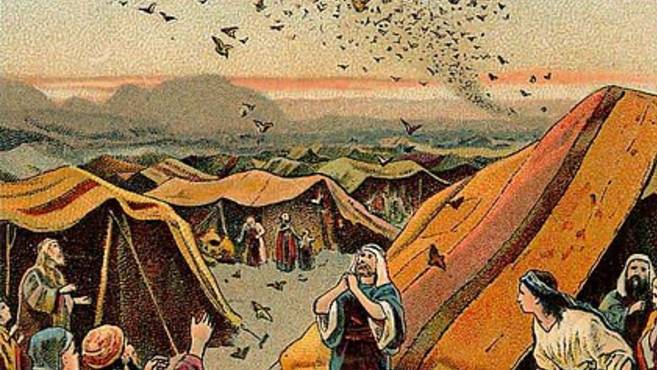 Лекция 26. Книга Второзаконие. Странствование «колен Израилевых» по пустыне. смотреть онлайн