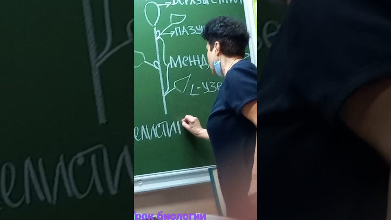 мне жопа? смотреть онлайн