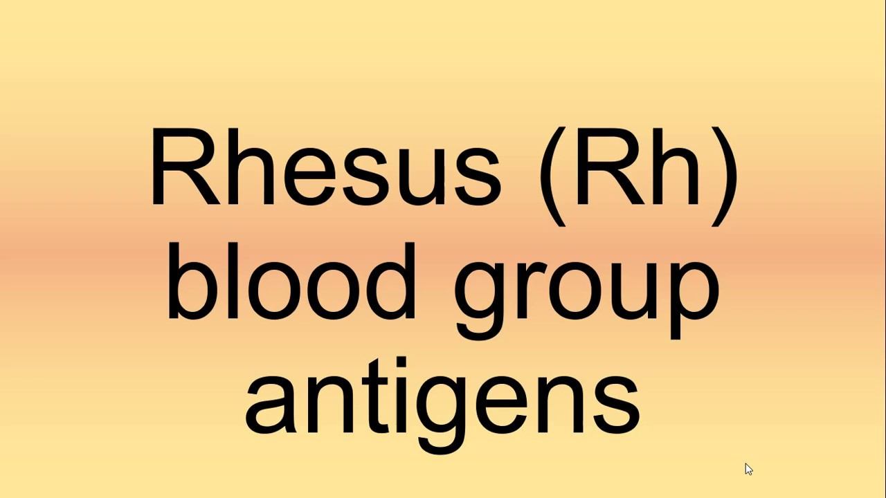 Rhesus (Rh) Blood Group Antigens Pronunciation | How to Say | How to Pronounce смотреть онлайн