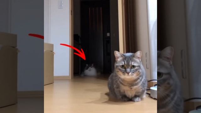 Океан изучен на 5 % а что если там #memes #funny