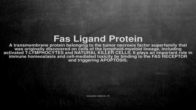 Medical vocabulary: What does Fas Ligand Protein mean смотреть онлайн