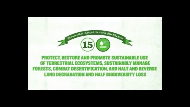 ILLEGAL LOGGING IN MALAYSIA | SUSTAINABLE DEVELOPMENT RELATED ISSUE (LOCAL ISSUE) смотреть онлайн