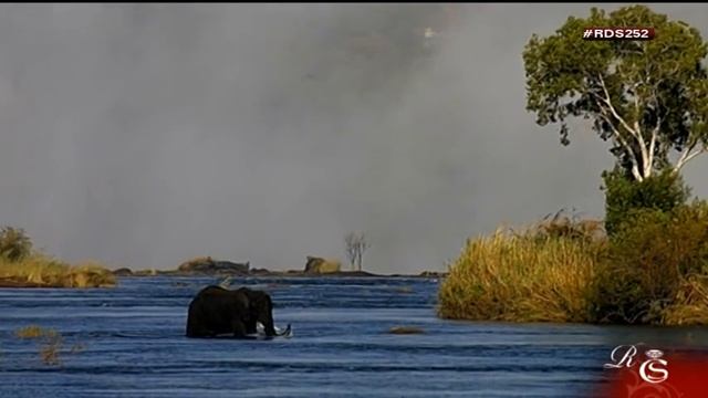 Viajamos con NUBA, Ana y Laura hasta Botswana смотреть онлайн