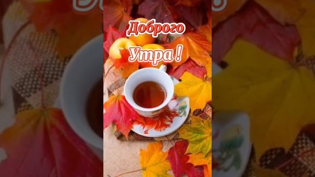 Доброе утро! Хорошего дня и прекрасного настроения! смотреть онлайн