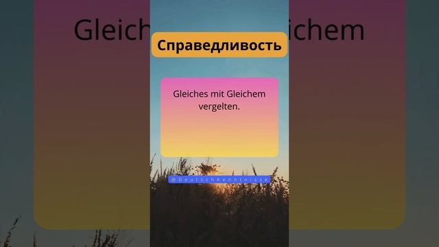 Немецкая пословица с переводом 🇷🇺Справедливость🇩🇪 #deutschkenntnisse #немецкийснуля #справедливост смотреть онлайн
