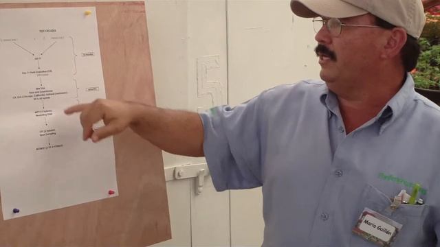Plant Breeding Process 33.MP4 смотреть онлайн
