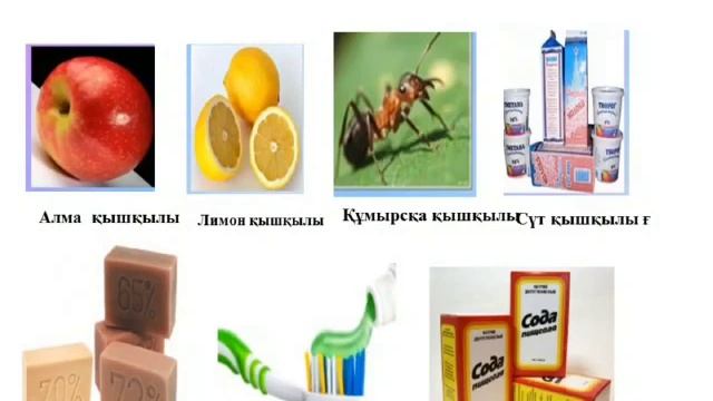 Табиғи қышқылдар мен сілтелер смотреть онлайн