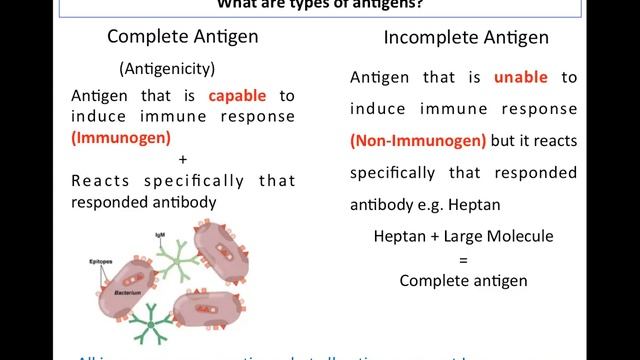 Antigen and their types|Advances in Immunology|ZOL-743/ZOL-803|For MS and PhD classes смотреть онлайн