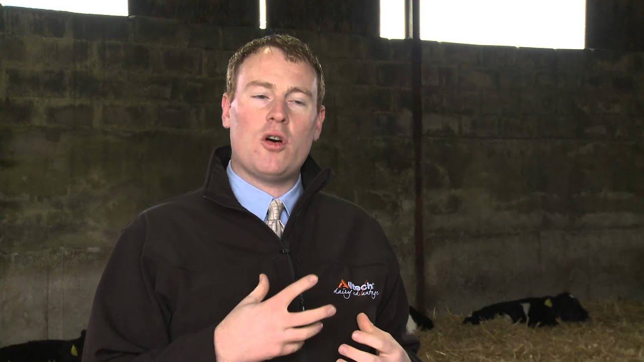 GAIN Ruminant Feeds - Protect Against Pathogenic Bacteria & Increase Growth Rates смотреть онлайн