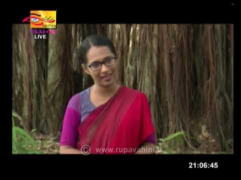 2020-05-10 | Nethra TV Tamil News 7.00 pm смотреть онлайн