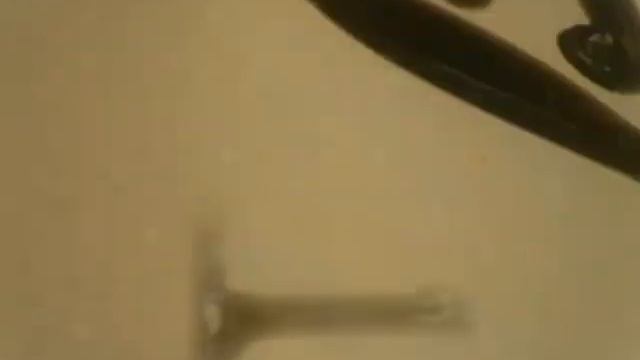 HACL film 01170 Atlas 24E Launch July 26, 1963 смотреть онлайн