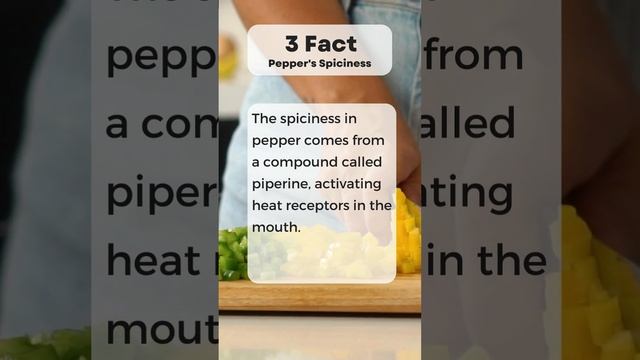 🌶️5 FACTS about PEPPER🌶️ смотреть онлайн
