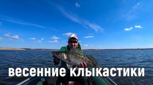 Такой клев только весной! Жор судака перед нерестом. Рыбалка с лодки до запрета