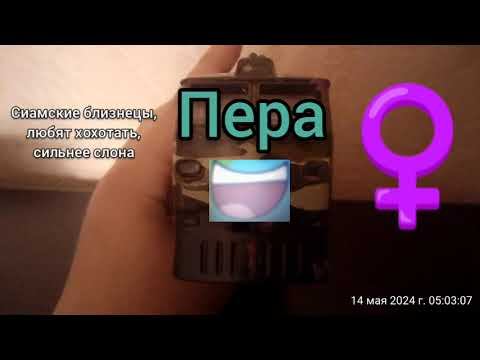 игрушки технопарк: пол, описание, имена смотреть онлайн