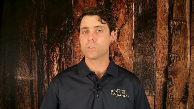What is Mycorrhizae? смотреть онлайн