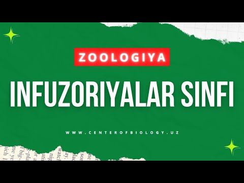 5-Mavzu: Infuzoriyalar va sporalilar sinflari смотреть онлайн