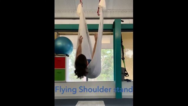 Anti Gravity Fitness смотреть онлайн