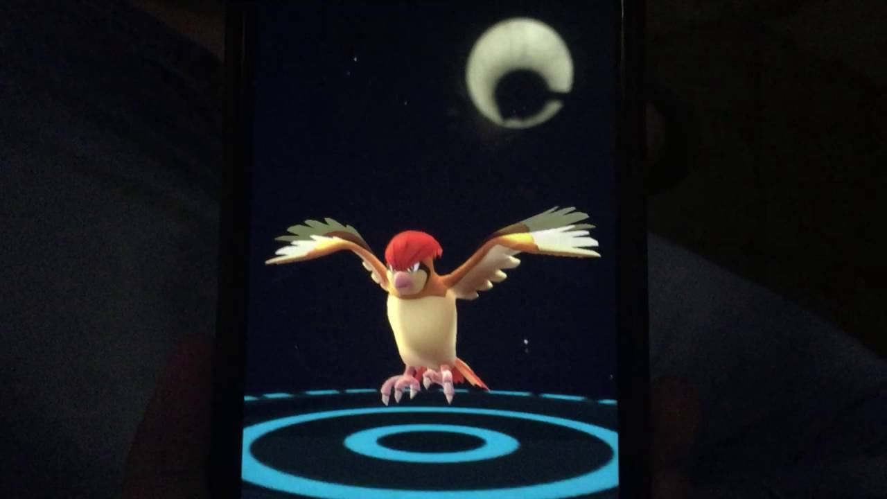 Medvedus777 эволвит все подряд. Покемон ГО. Южный фронт. Pokemon GO. смотреть онлайн