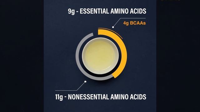 Egg White Protein Isolate - Product Guide смотреть онлайн