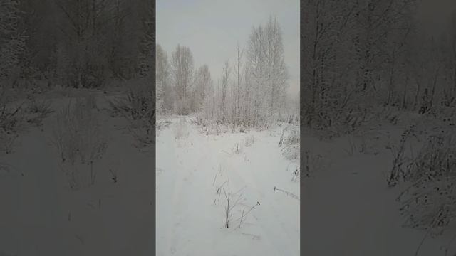 Зимняя сказка смотреть онлайн