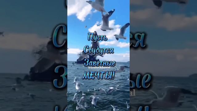 Доброе утро! Среда! смотреть онлайн