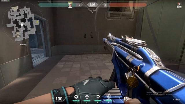 Valorant Bug - Wrong Color Mag on Blue Luxe Vandal смотреть онлайн