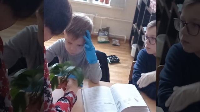 Урок биологии в частной школе "Результат с гарантией" смотреть онлайн