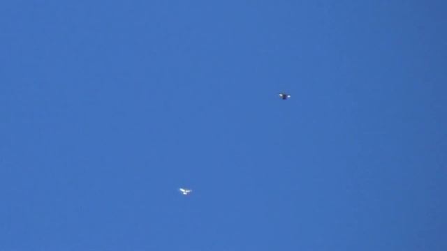 10 сентября 2022 г. смотреть онлайн