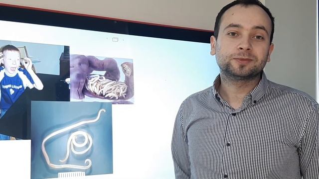 Паразиты смотреть онлайн