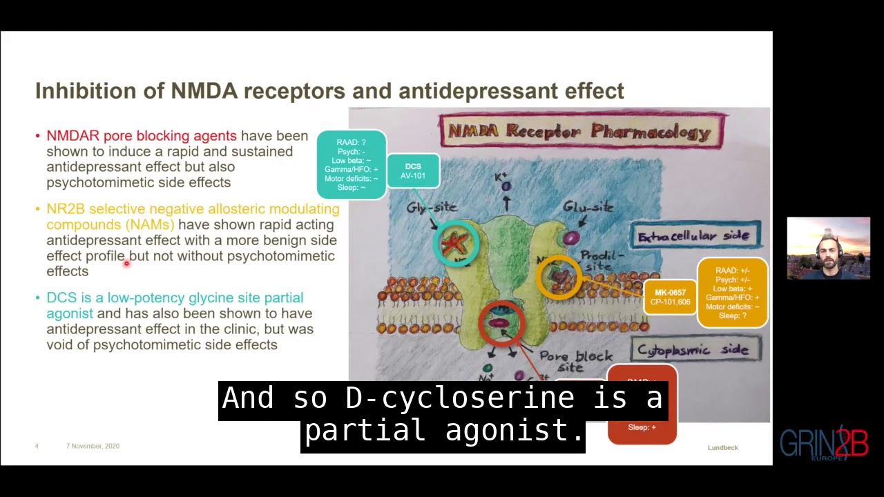 EEG & behavioral research data and beyond the NMDA receptor; English Captions: 3rd GRIN Europe Conf смотреть онлайн