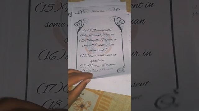 project on the topic differences between plant cell and animal cell смотреть онлайн