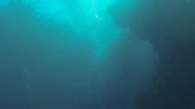 CUBA SCUBA смотреть онлайн